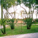 Jardins Condominio Rincon Marino (4)